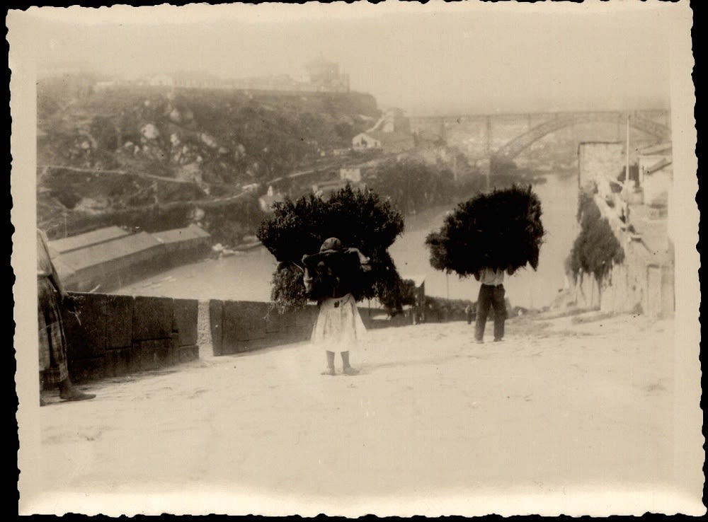 @Arquivo Distrital do Porto