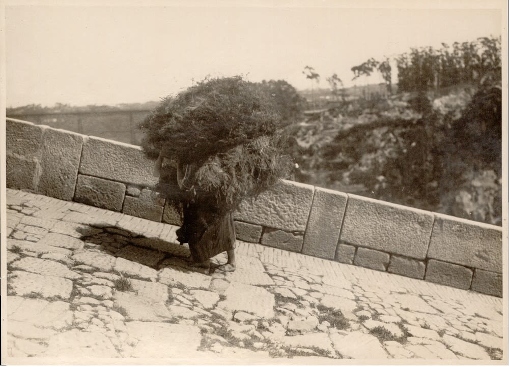 @Arquivo Distrital do Porto