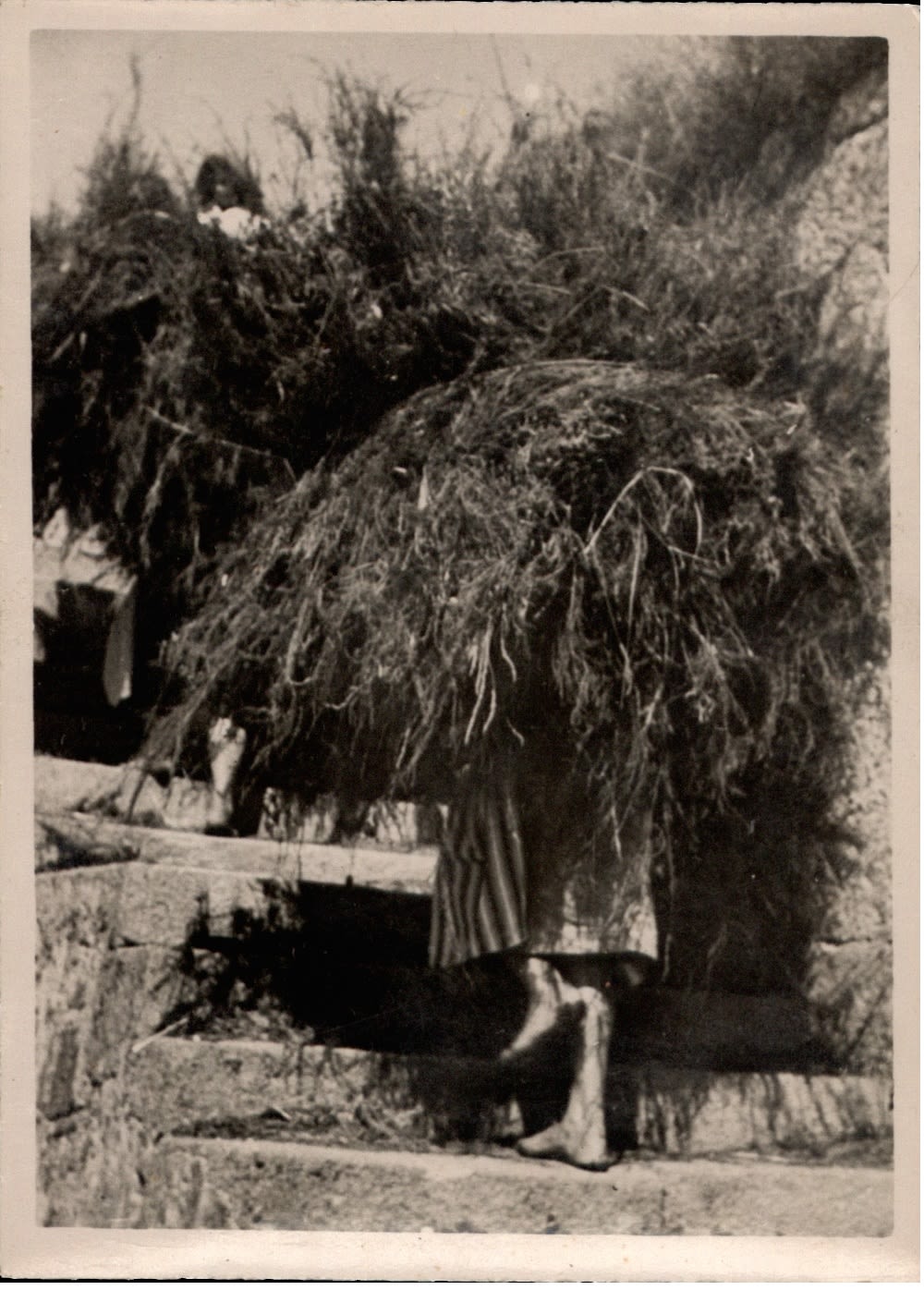 @Arquivo Distrital do Porto