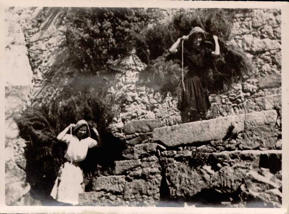 @Arquivo Distrital do Porto