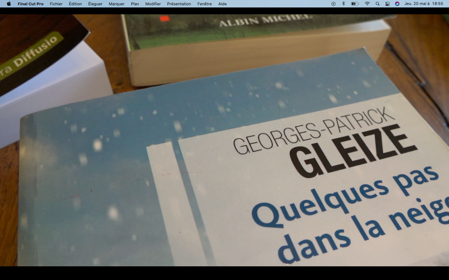 "Quelques pas dans la neige", l'un des vingt romans de l'ariégeois.