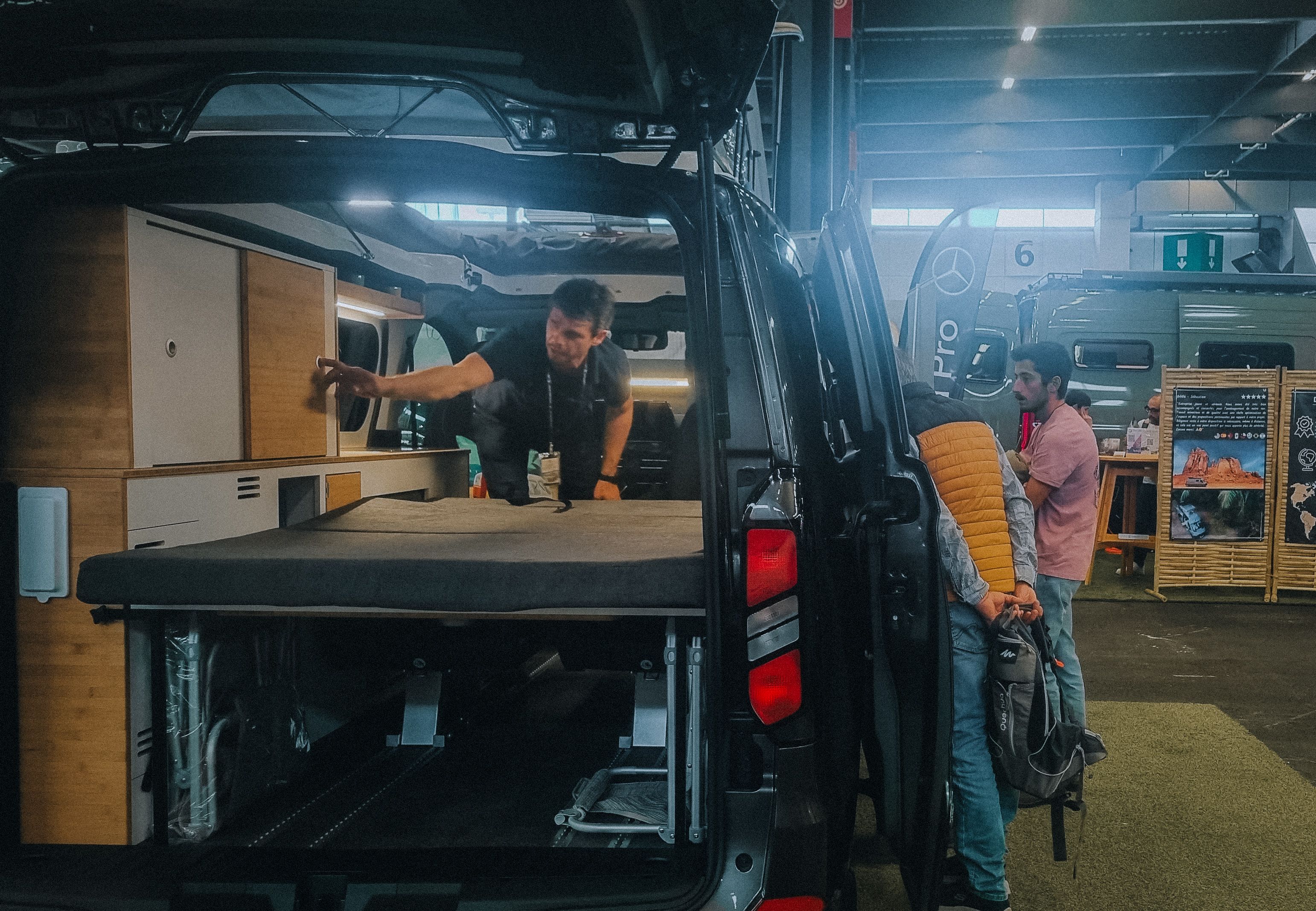 Small yellow flowers growing from stone.
