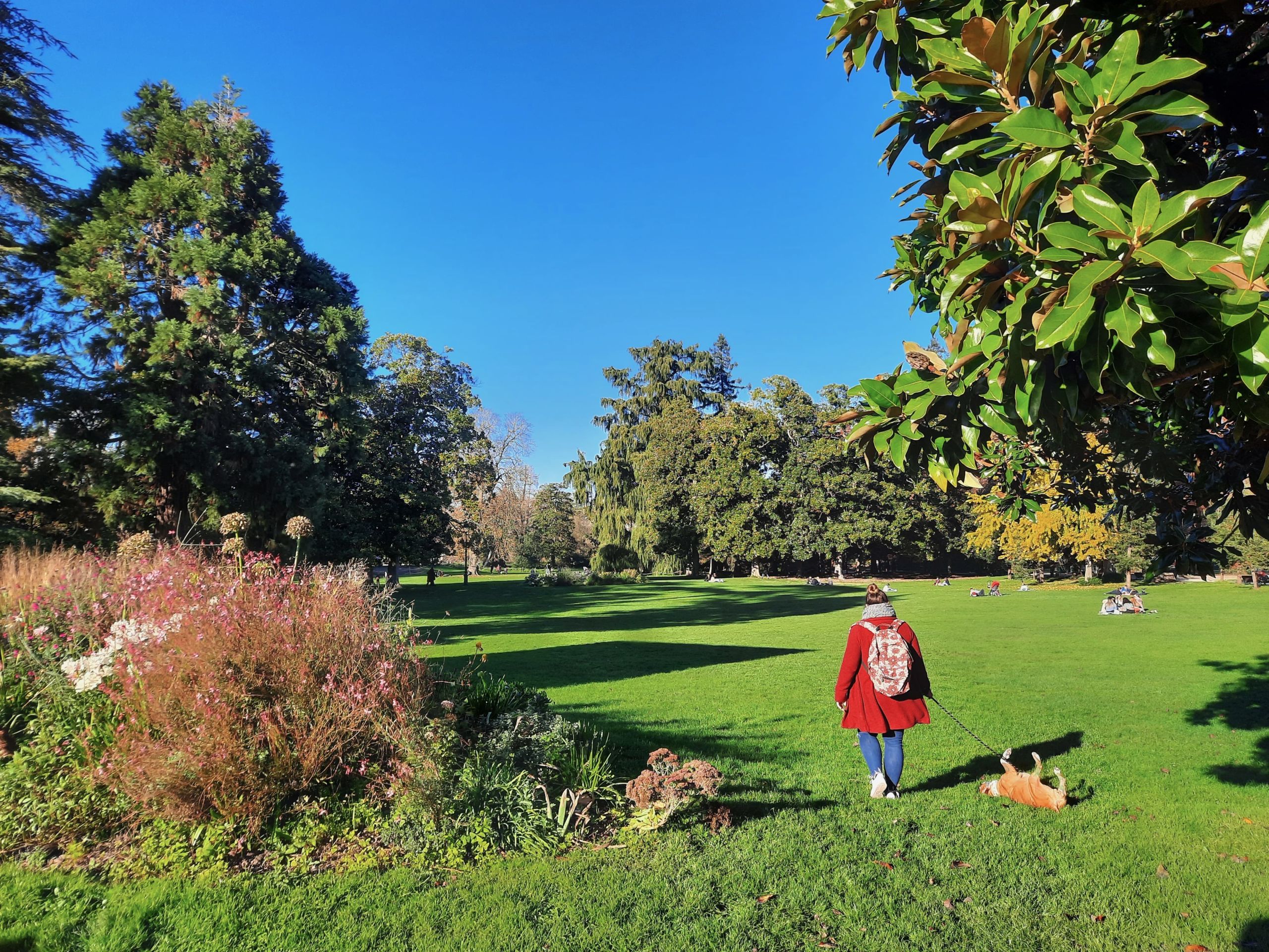 Photographie d'un parc. Une femme promène son chien.